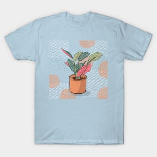 Maranta leuconeura tricolor - crazy plant person T-Shirt